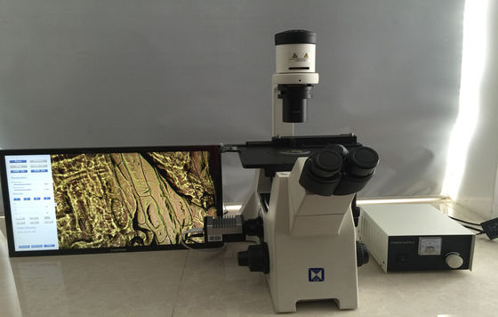 میکروسکوپ بیولوژیک معکوس Trinocular برای کشت سلول تحقیق
